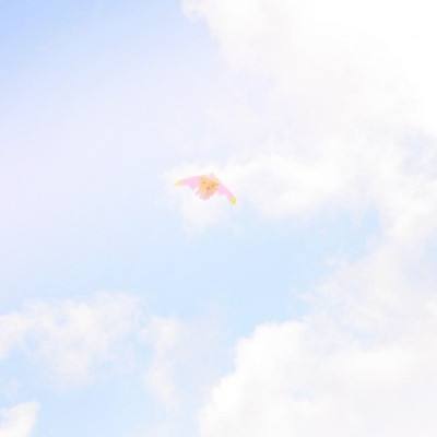 西山居血灵诀手游下载
